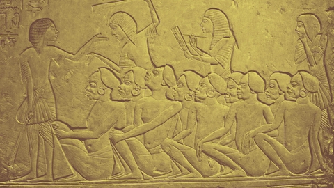 new labor law egypt