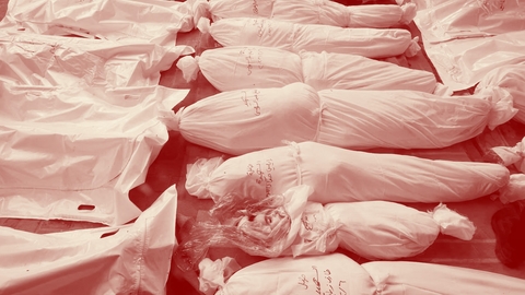 gaza genocide