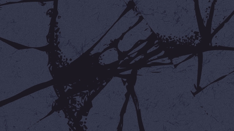web image