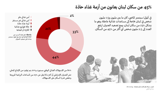 الأمن الغذائي في لبنان في ظل الحرب