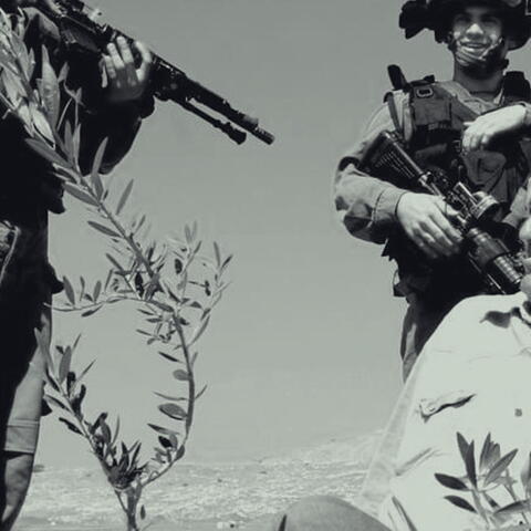 حق تقرير المصير في الزراعة: فرخة الفلسطينية نموذجاً