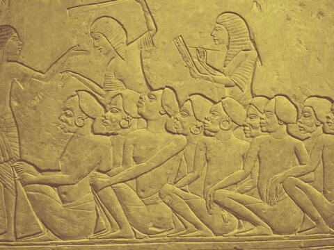 new labor law egypt