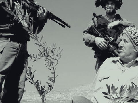 حق تقرير المصير في الزراعة: فرخة الفلسطينية نموذجاً