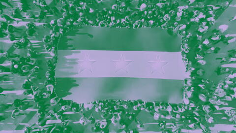 syria new regime
